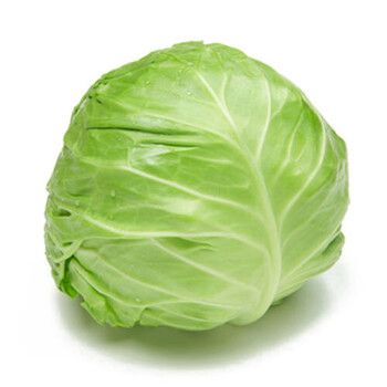 蔬菜配送價格表 2024-12-10