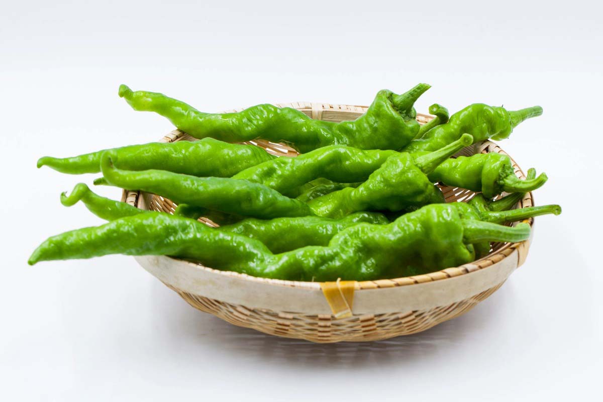 肉菜：美味佳肴，盡在你手邊！