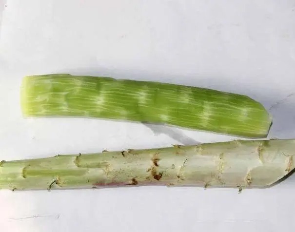 新鮮蔬菜沙拉配送為您的健康餐桌添彩