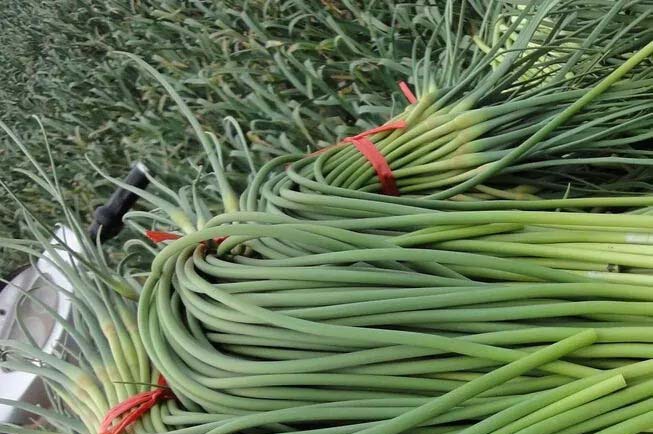 莒縣蔬菜配送群