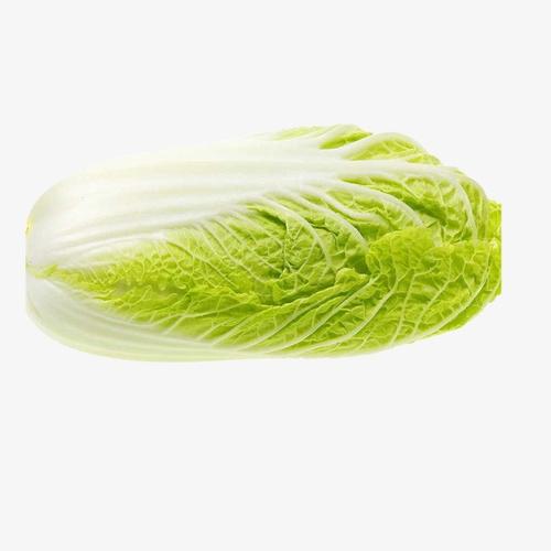 蔬菜配送庫存統計