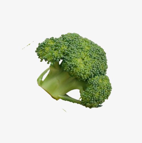 快速送貨服務！60分鐘內送達，全年無休！