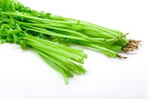 蔬菜配送價格表 2024-11-11