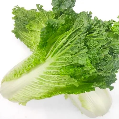 食材配送相關問題的探尋與解決