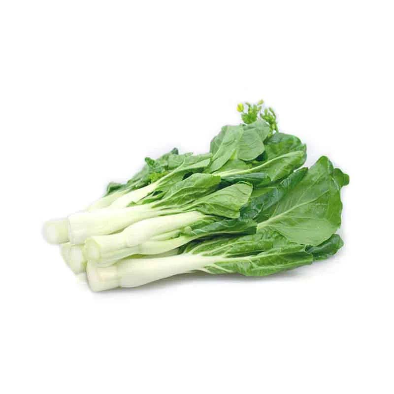 新鮮廣州蔬菜配送，品質(zhì)保障！