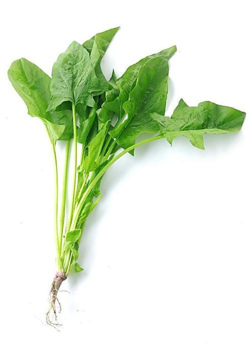 新鮮時蔬一鍵送達(dá)，查看最佳蔬菜配送平臺！