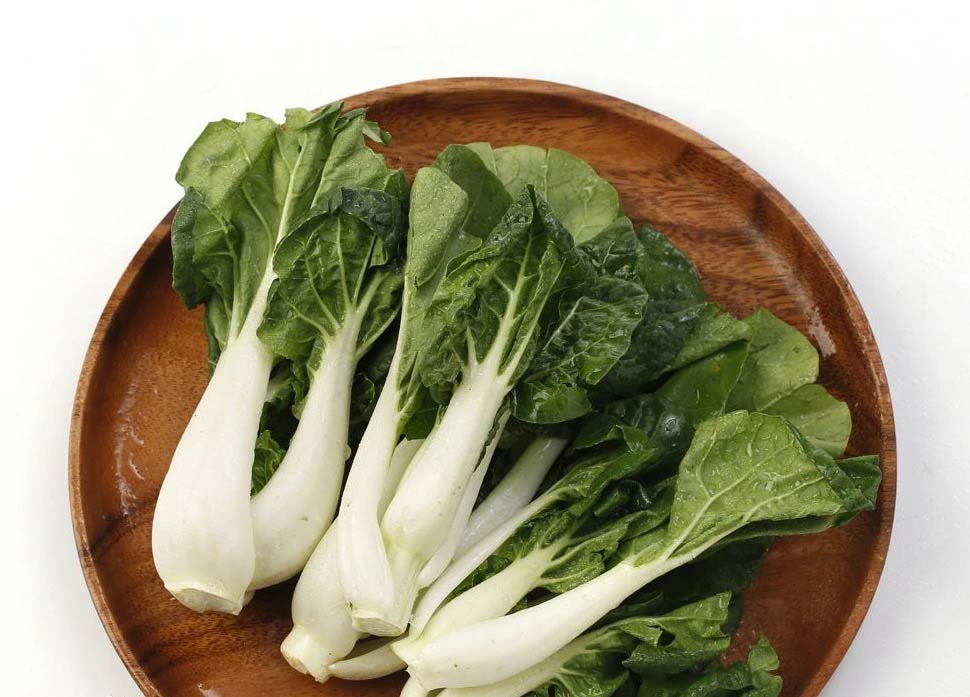 快速配送公司名稱推薦 - 打造高效物流服務