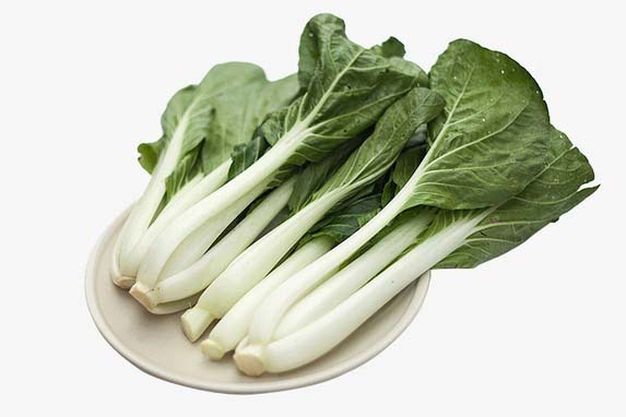 莞城有機蔬菜配送批發商