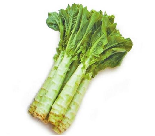 蔬菜配送價格表 2024-4-8