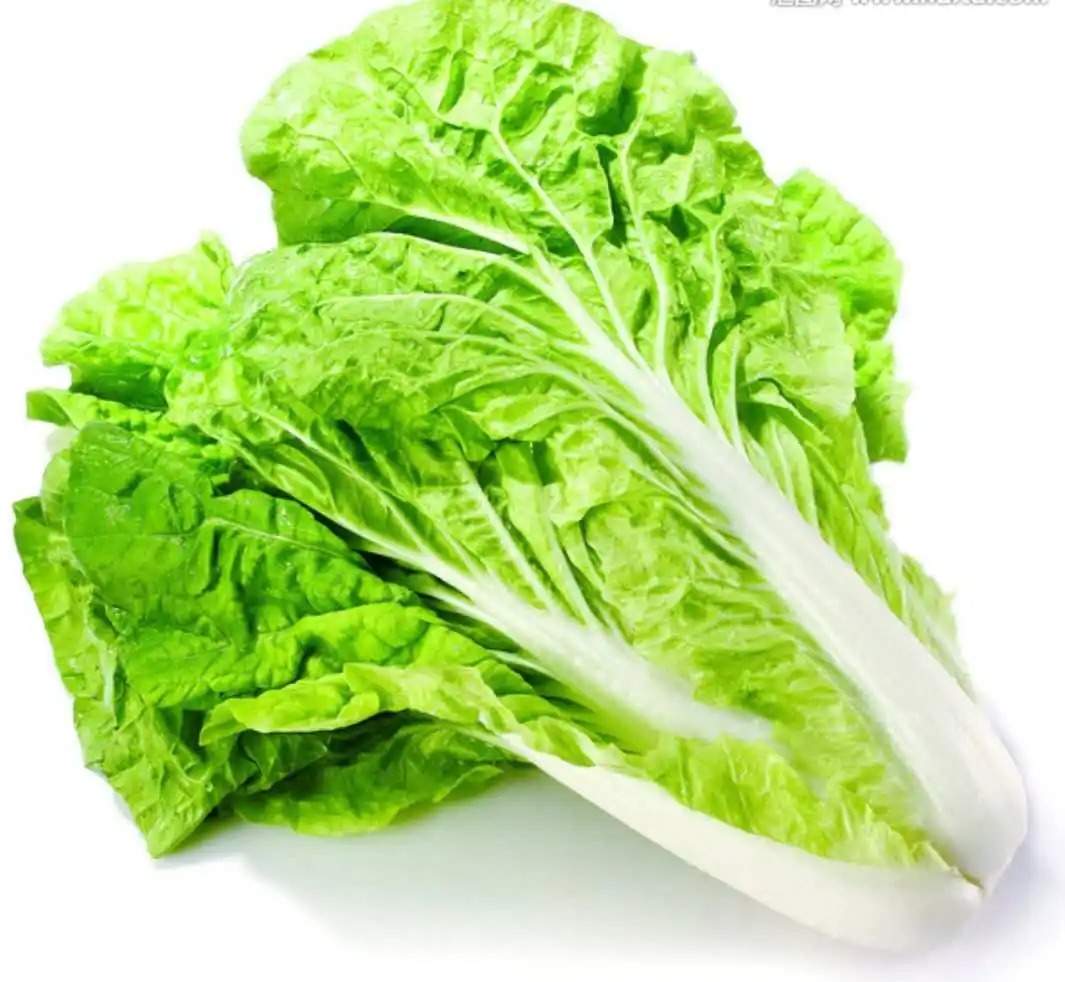 桐鄉蔬菜配送中心，新鮮速遞，當日到達！