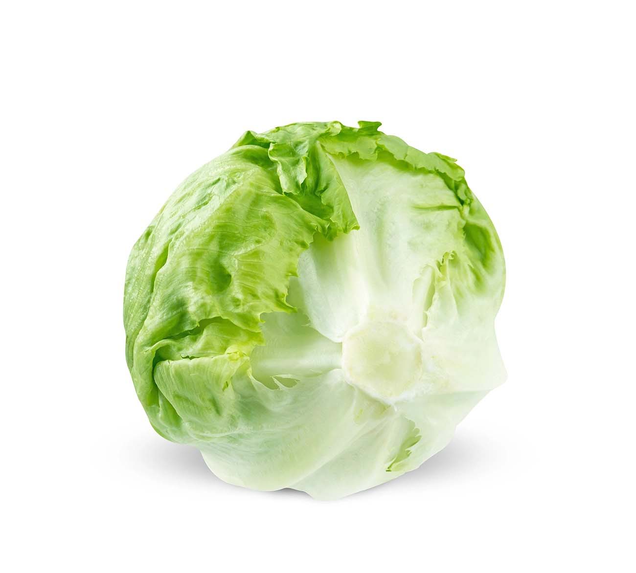 重慶日報生鮮蔬菜配送中心在哪里