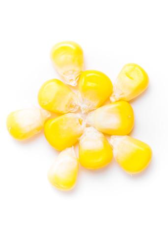 壽光蔬菜價格：最新行情一網打盡！