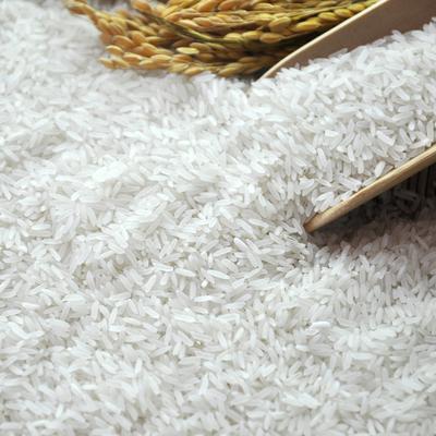 丹東蔬菜，新鮮速遞，品質至上